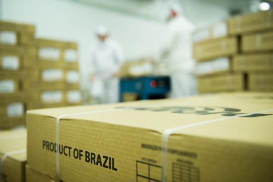 MERCADO EXTERNO - Exportações de carne suína batem recorde em agosto e fortalecem presença global